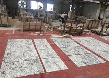 China De maat 60x60cm Tegels van de de Vloerschuine rand van het Groottenatuursteen Witte Marmeren  leverancier