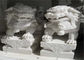 Het witte Beeldhouwwerk van de Jade Marmeren Leeuw, Steen Dierlijke Beeldhouwwerken Aangepaste Kleur leverancier